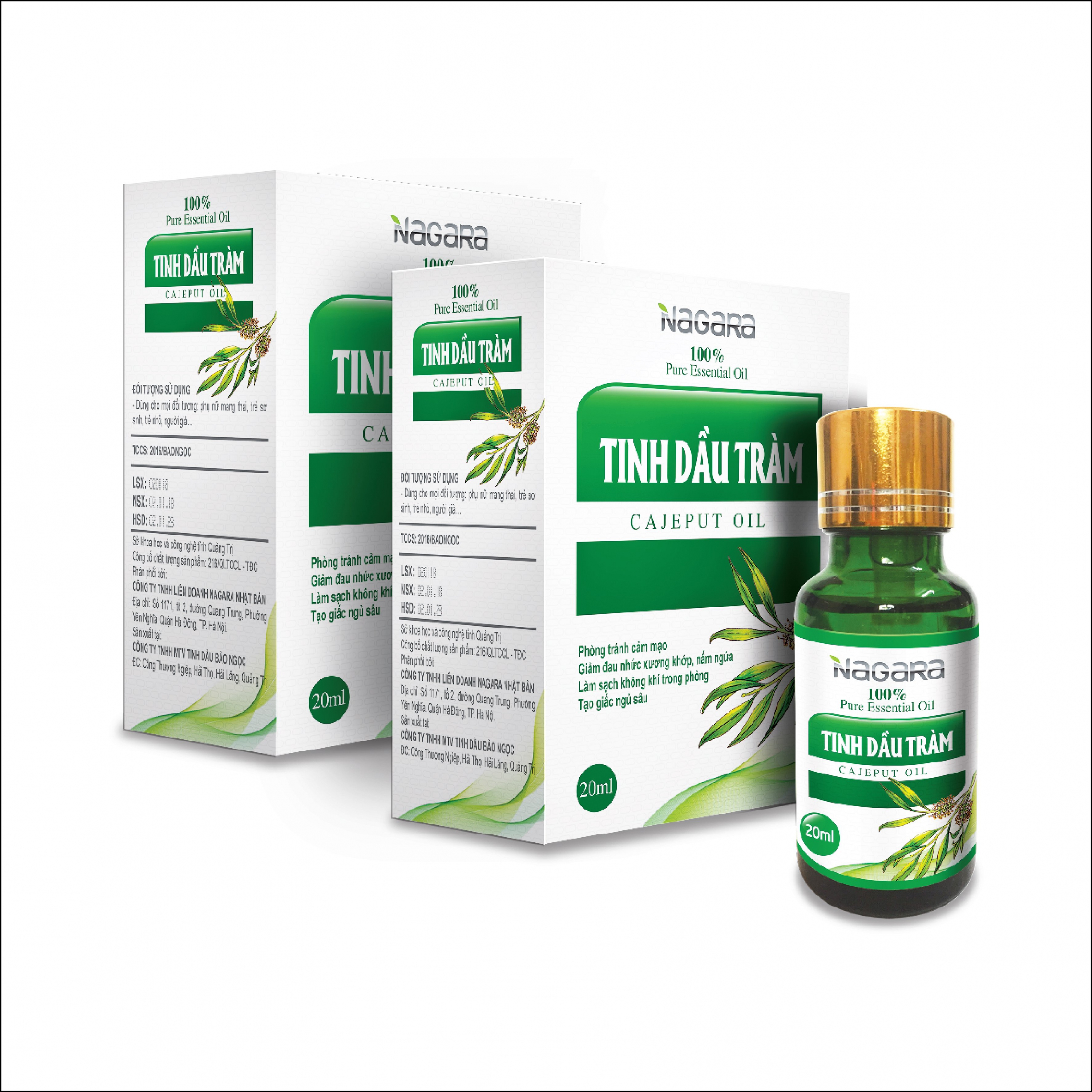 TINH DẦU TRÀM CAJEPUT OIL